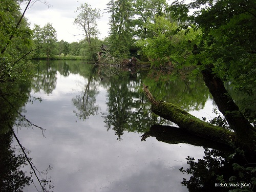 Illnhäuser Weiher