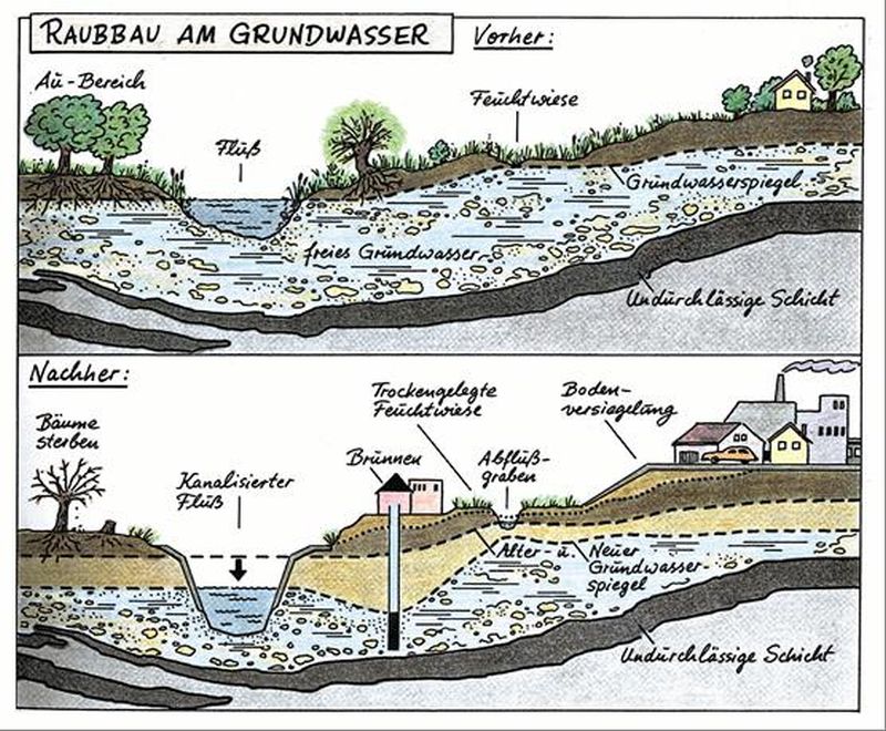 B. Mönter: Mittendrin – ohne Wasser läuft nichts