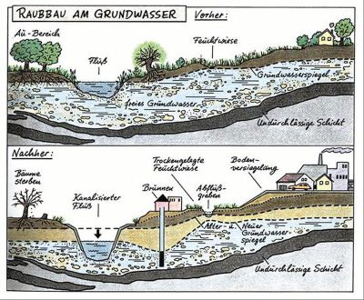 B. Mönter: Mittendrin – ohne Wasser läuft nichts